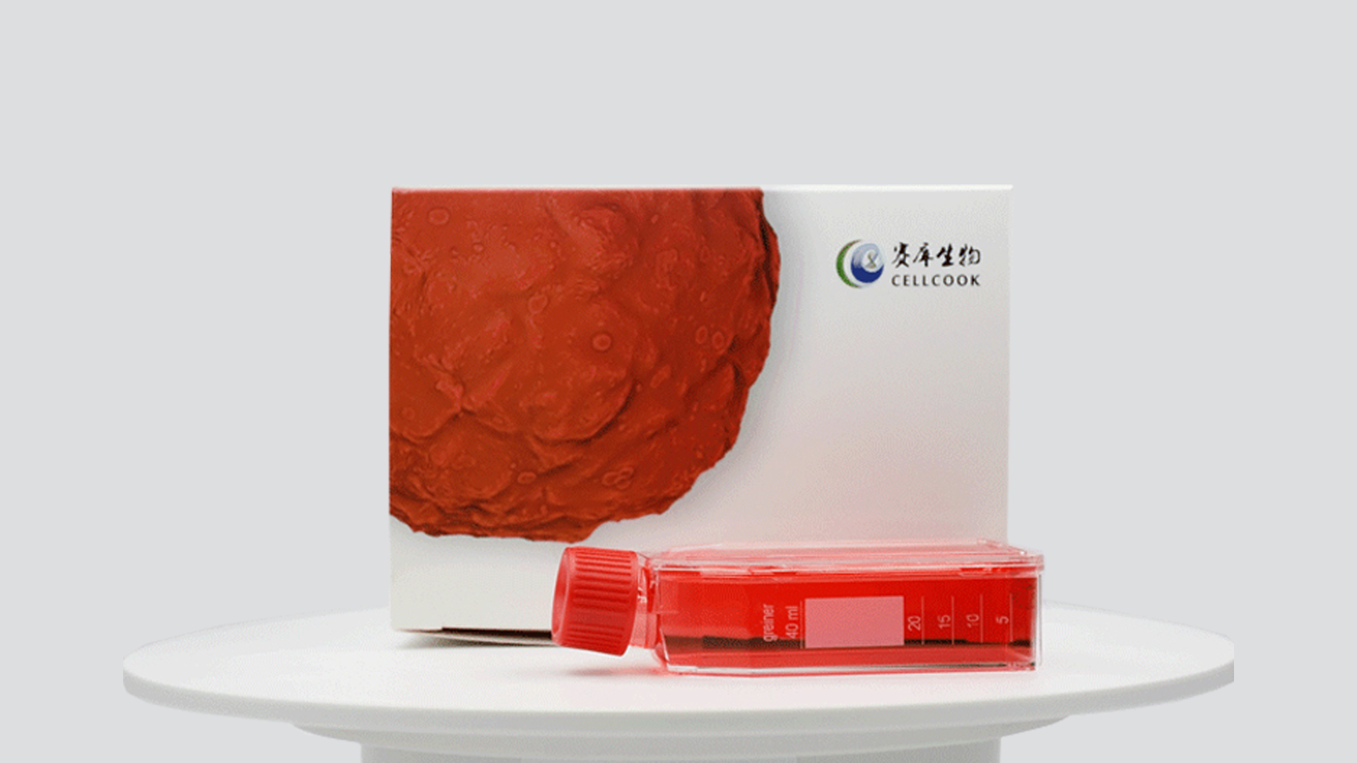 大鼠源細(xì)胞系STR鑒定