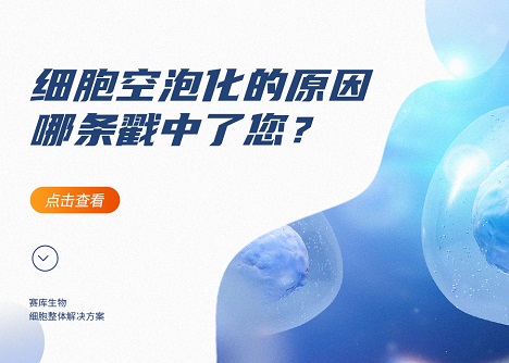 為什么細(xì)胞會(huì)出現(xiàn)空泡！