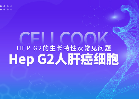 細(xì)胞學(xué)堂|Hep G2人肝癌細(xì)胞的生長特性及常見問題