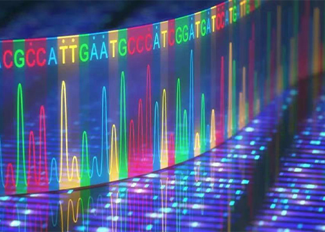 【賽庫生物】帶您詳細(xì)了解細(xì)胞STR鑒定