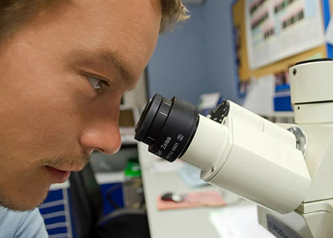 永生化就能無限傳代？有些概念你需要清楚