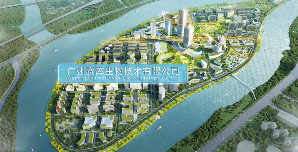 廣州賽庫(kù)生物技術(shù)有限公司