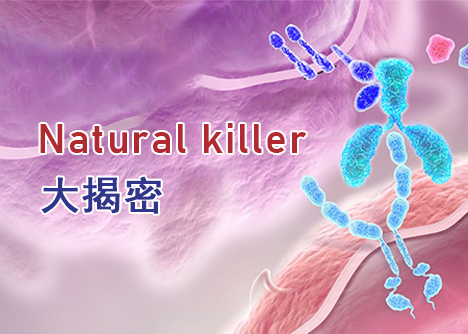 細胞學堂 | 聽說NK-92和NK-92MI很難養(yǎng)？