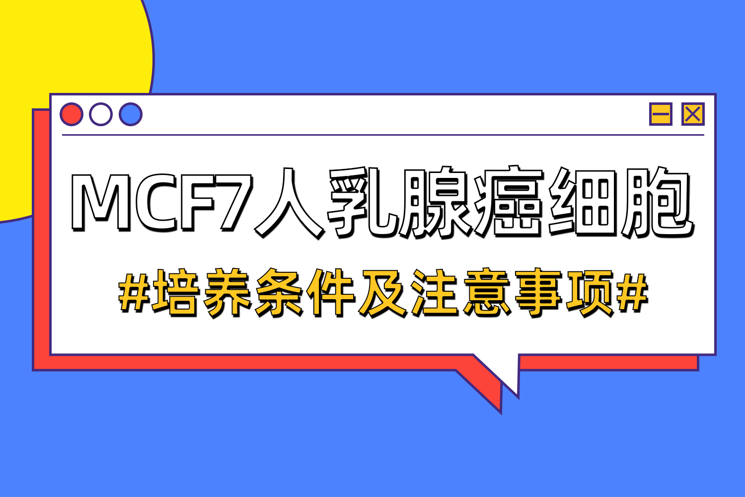 MCF7人乳腺癌細(xì)胞培養(yǎng)條件及注意事項(xiàng)