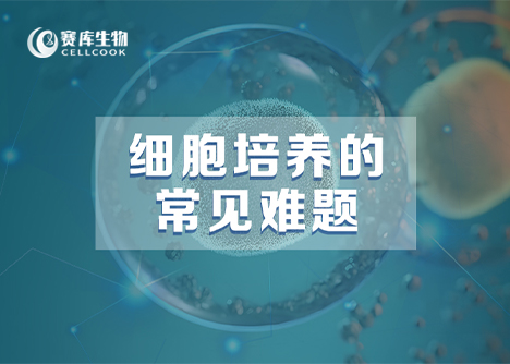 細(xì)胞培養(yǎng)的常見(jiàn)難題