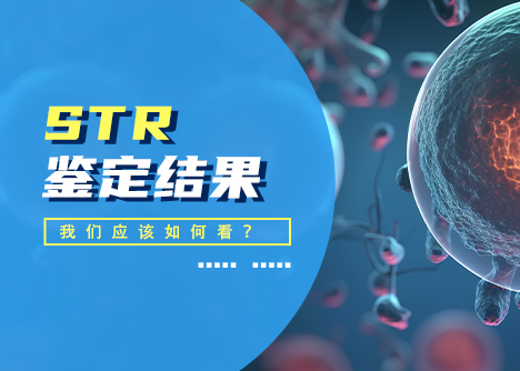 STR鑒定結(jié)果怎么看？