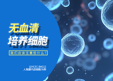 無血清條件培養(yǎng)的細胞 注意事項
