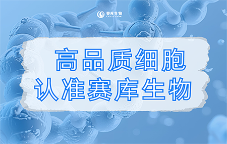 無(wú)支原體污染，這不是細(xì)胞產(chǎn)品的基本質(zhì)量標(biāo)準(zhǔn)嗎？