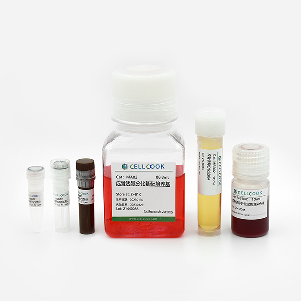 大鼠間充質(zhì)干細(xì)胞成骨誘導(dǎo)分化試劑盒