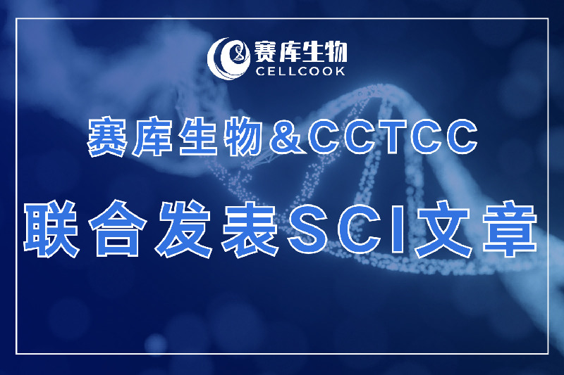 大鼠細(xì)胞也有“DNA身份證”了！賽庫生物聯(lián)合國家權(quán)威保藏機(jī)構(gòu)CCTCC，推出“大鼠細(xì)胞身份”精準(zhǔn)鑒定方法！