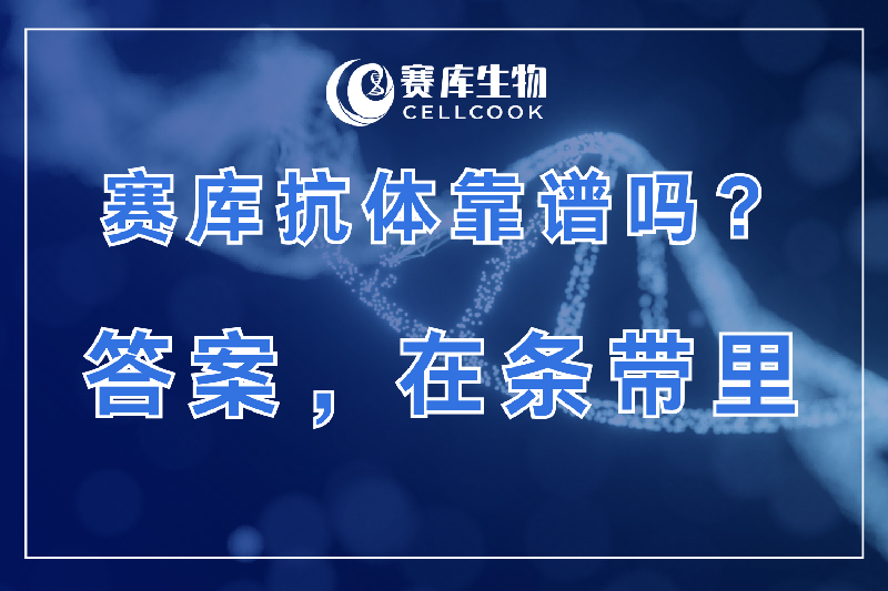 CELLCOOK賽庫抗體靠譜嗎？數(shù)據(jù)說話（1）