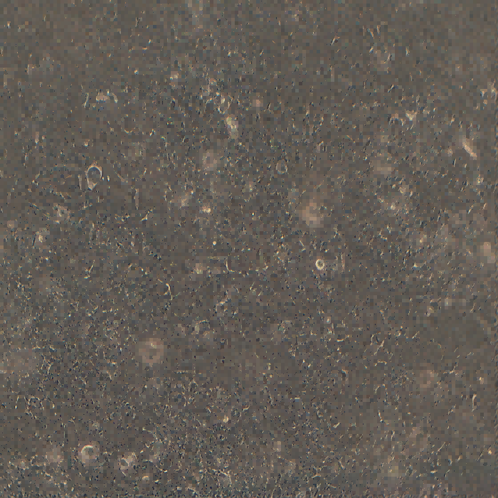 HNE-2人鼻咽癌細(xì)胞（STR鑒定正確）