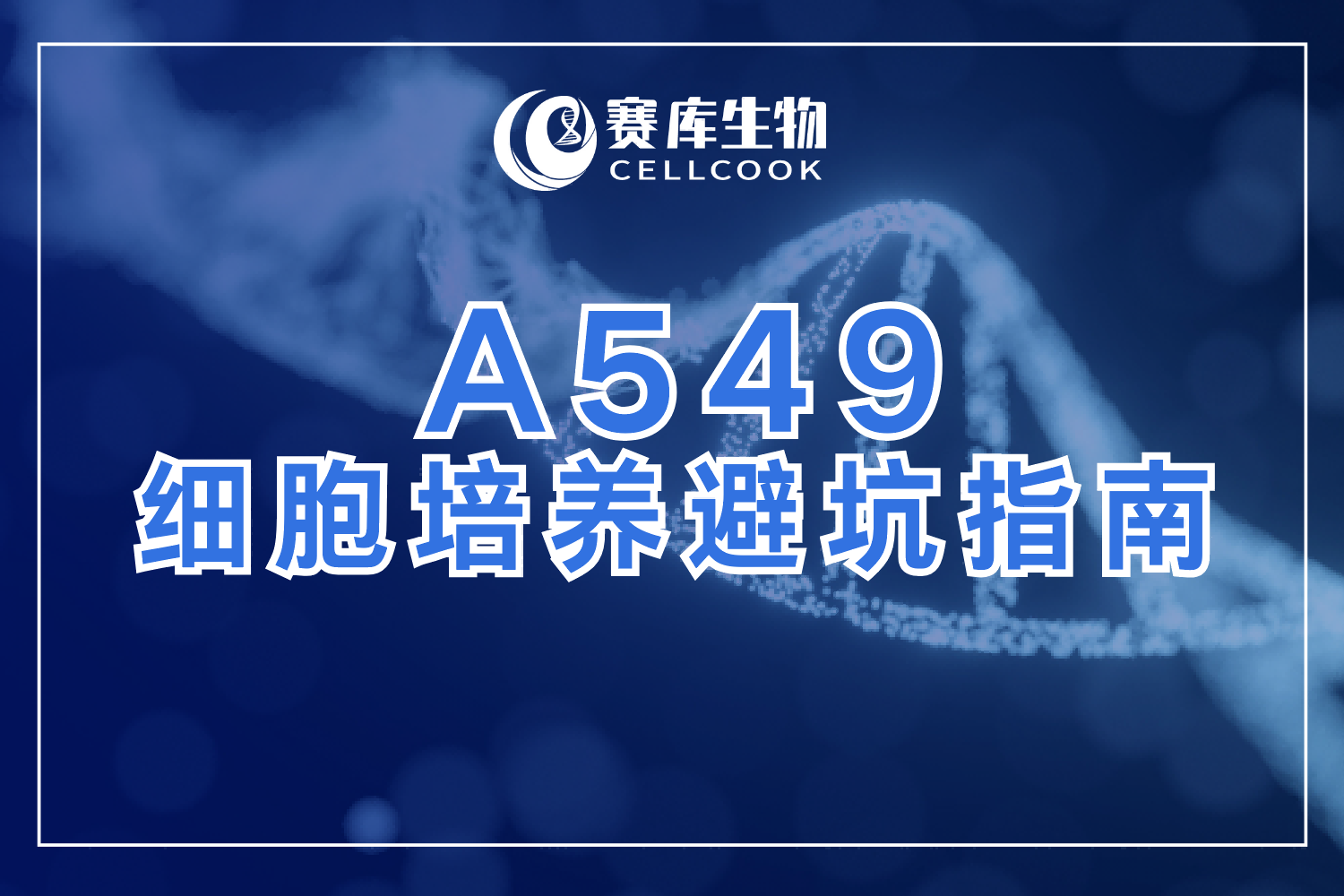肺癌研究必備！A549細(xì)胞培養(yǎng)避坑指南&高分文獻(xiàn)