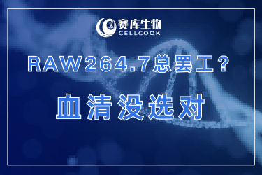 為啥你的RAW264.7總“罷工”？可能是血清沒選對(duì)！