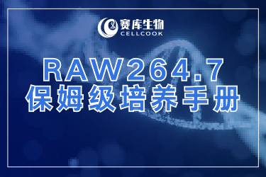 被RAW264.7 細(xì)胞搞崩潰？保姆級(jí)培養(yǎng)手冊(cè)來啦
