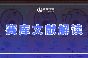 【高分引用文獻(xiàn)解讀】hPTMs介導(dǎo)的互作組研究新工具/基因毒性治療損傷修復(fù)/肝癌治療靶點(diǎn)