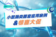 【類器官秒殺】小鼠腸類器官在醫(yī)學研究中的應用案例 &勁爆大促