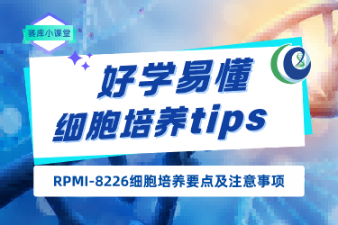 賽庫小課堂 | RPMI-8226細胞培養(yǎng)要點及注意事項