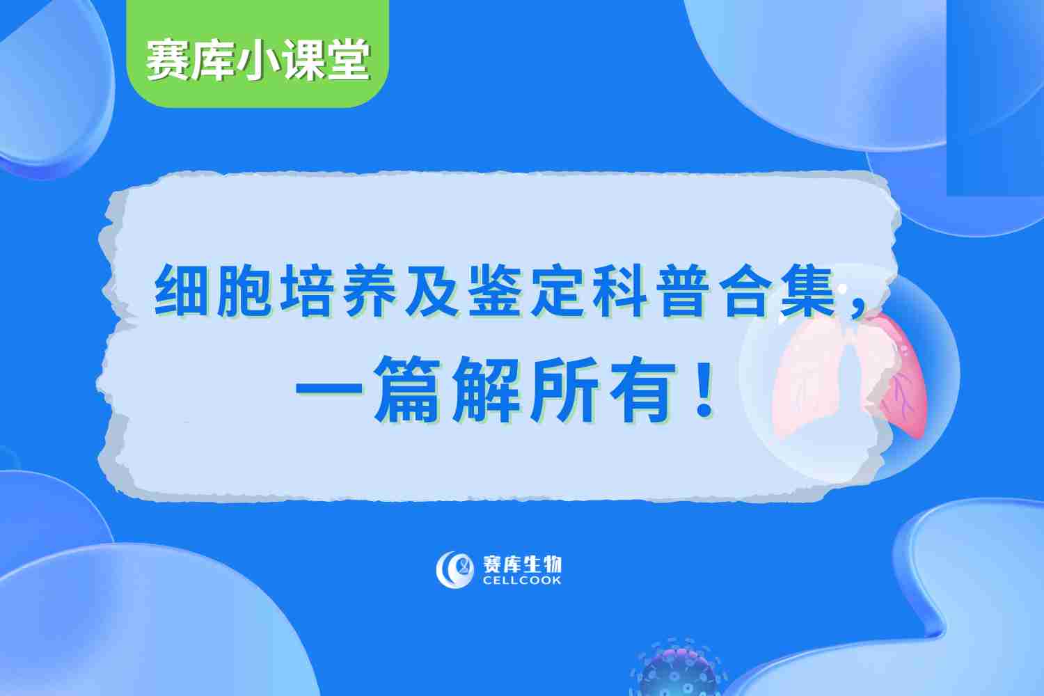 賽庫(kù)細(xì)胞培養(yǎng)及鑒定科普目錄合集，一篇解所有！