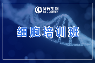 廣中醫(yī)&賽庫(kù)生物細(xì)胞實(shí)驗(yàn)培訓(xùn)，助力科研新人從0到1彎道超車(chē)！